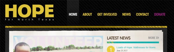 45+ Non-Profit Website Design Examples for Inspiration