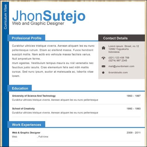 Professional One Page Resume