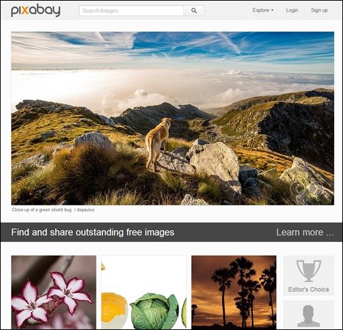 Pixabay stock photos[3]