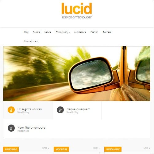 lucid