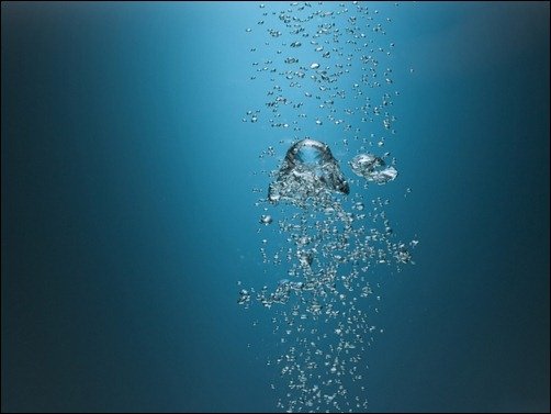 Bubbles Underwater clownfish wallpaper