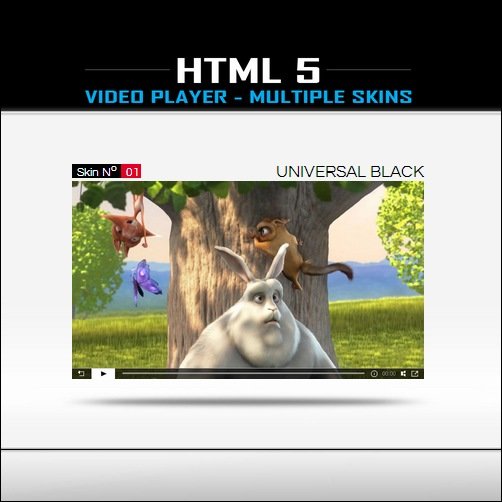 vp1html5