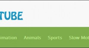 beetube video wordpress theme